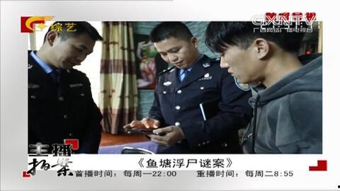 主播拍案在线观看,揭秘网络直播背后的风云变幻