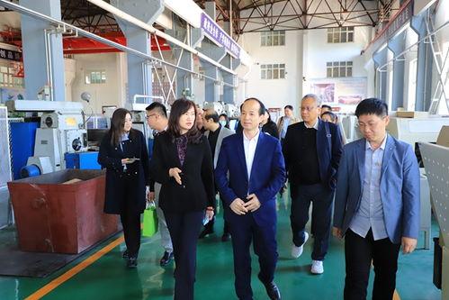 济南大学爆料视频播放,揭秘校园内幕瞬间